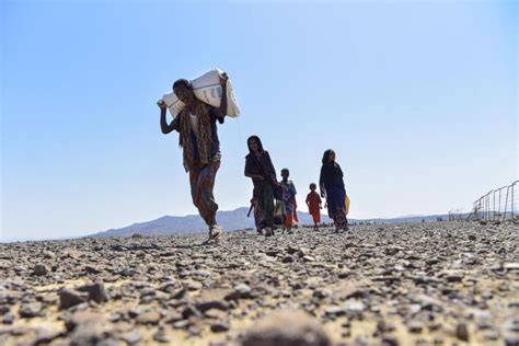 charities for world hunger|A global food crisis .
